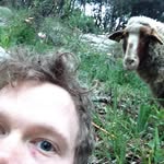 Miles Bell - @smilesbell - Instagram