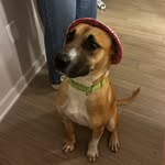 miles booker mason - @milesbmason - Instagram