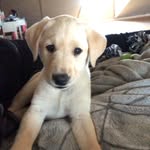 Miles Boykin-Cole - @milesebc18 - Instagram