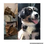 Molly, Miles, & Maggie Branch - @3mbranch - Instagram