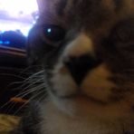 Leia Miles Brewer - Facebook