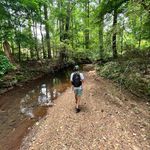 Miles Brewer - @_tmlsb - Instagram