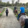 Miles - @miles.brewer - TikTok