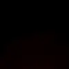 Miles Bridges - @miles__bridges - TikTok