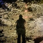 Miles Bryant - @blutheblooper - Instagram