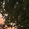 milesbundy - @milesbundy - TikTok