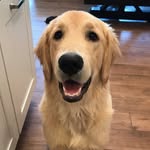 Miles Calvert - @miles_osunshine - Instagram