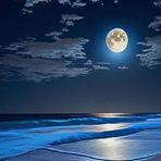 Miles Cameron - Facebook