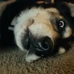 Miles carpenter - @miles_carpy_ - Instagram