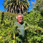 Rob Miles the worlds friendliest carpenter - @robhmiles - Instagram