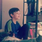 miles - @miles_cat_on - Instagram