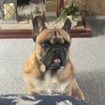 Miles Chapman - Facebook