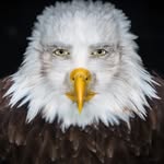 Miles Colbert - @millsville22 - Instagram