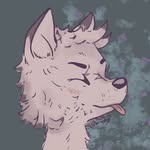 Miles - @miles_colonthree - Instagram