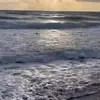 Miles combs - @miles.combs - TikTok