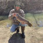 Miles Cox - Facebook