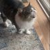 Miles Crawford - Facebook