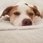 Miles Cunningham - @milescunni1 - Instagram