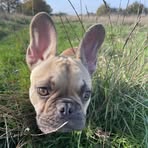 Myles Cunningham - Facebook