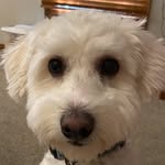 Miles Damerall - @miles_damerall - Instagram