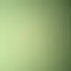 milesdameon21 - @milesdameon21 - TikTok