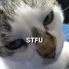 milesdavison - @milesdavison - TikTok