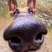 Miles Bushido Dei Junior - Facebook