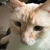 cherimilesdunn - @cheri.miles.dunn - TikTok