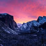 miles dunn - @toastmiles - Instagram