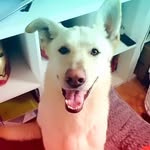 Miles Dunne - @milesdunne2019 - Instagram