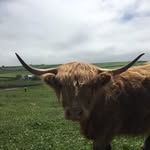 MilesD - @milesdunnett - Instagram