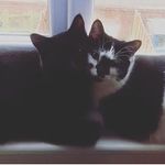 Miles Dyer - @milesdyer2019 - Instagram