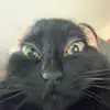 miles - @milesfoley - TikTok