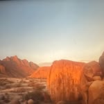 Miles Ford - @daag.fifa - Instagram