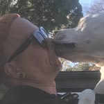 Miles Ford Mullin - @milesfordmullin - Instagram