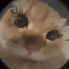 Miles - @milesforests - TikTok