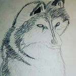 Miles Gilmore - @mouseyarts - Instagram