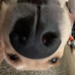 Miles Graham - @milowgraham - Instagram