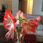 Miles Graham - Facebook