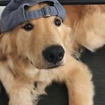 Miles Hammond - @mrpolar80 - Instagram