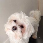 Miles - @miles__hammond - Instagram