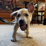Miles Hanson - @miles_the_homeboyy - Instagram