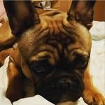 Miles Hodges - @miles.hodges8445 - Instagram