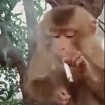 miles kimball - @basedandgorgeous - Instagram