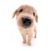 Miles Knapp - Facebook