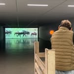 Miles Koch - @miles_koch_ - Instagram