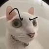 Mɪʟᴇs - @miles._lake - TikTok