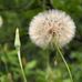 Six Miles Lake Provincial Park - Facebook