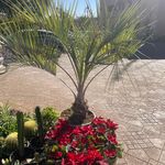 Miles Logan - @gmgardeningservice - Instagram