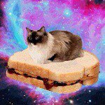 Miles Massey - @le_fat_cat - Instagram
